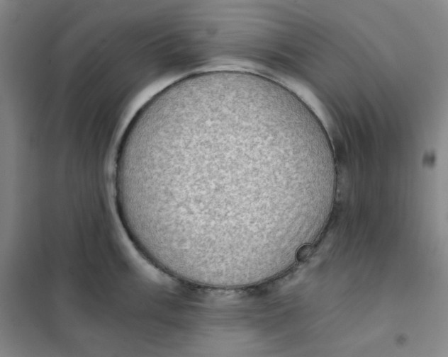 X0000101111003200807241131