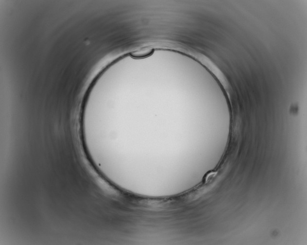 X0000101111005200807241131
