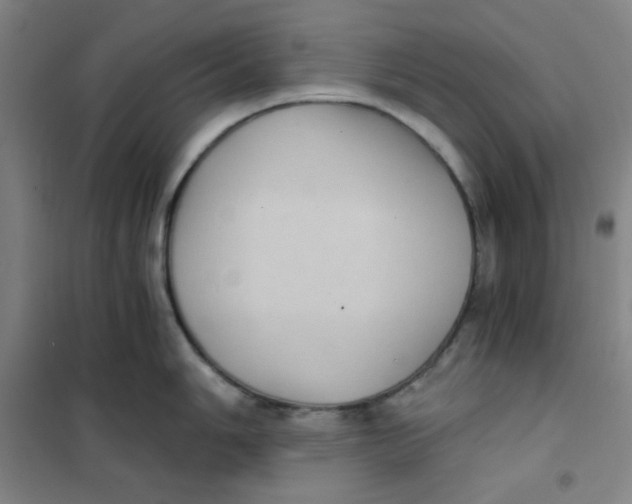 X0000101111006200807241131