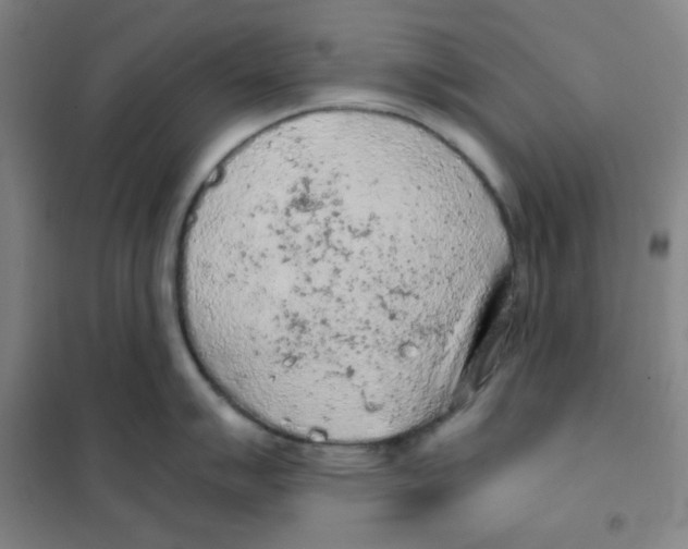 X0000101111007200807241131