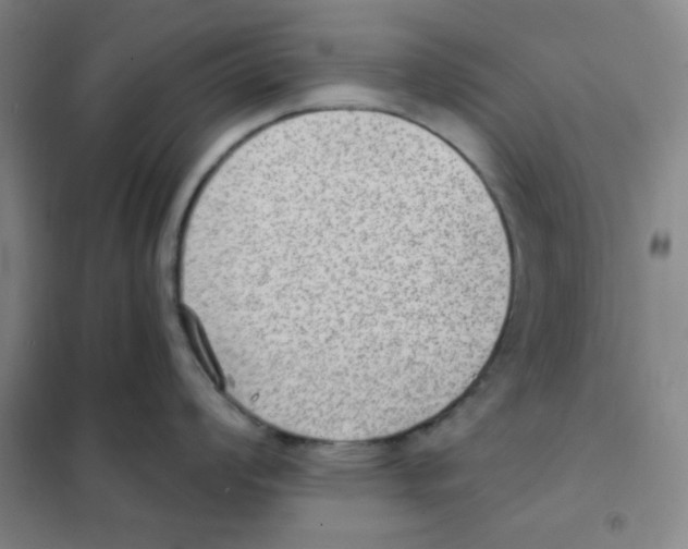 X0000101111008200807241131