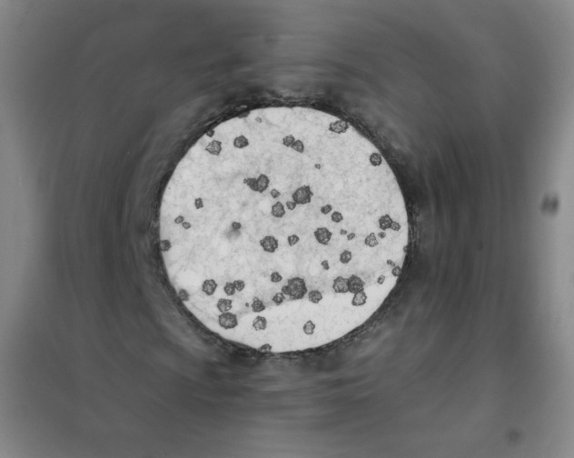X0000101111009200807241130