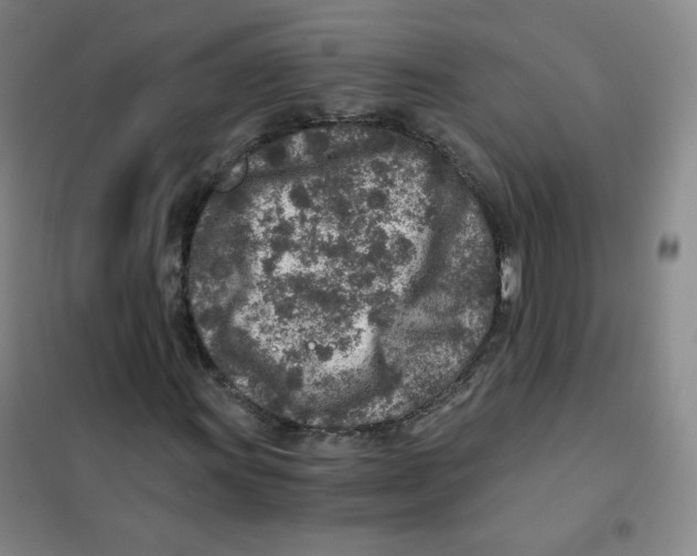 X0000101111011200807241130