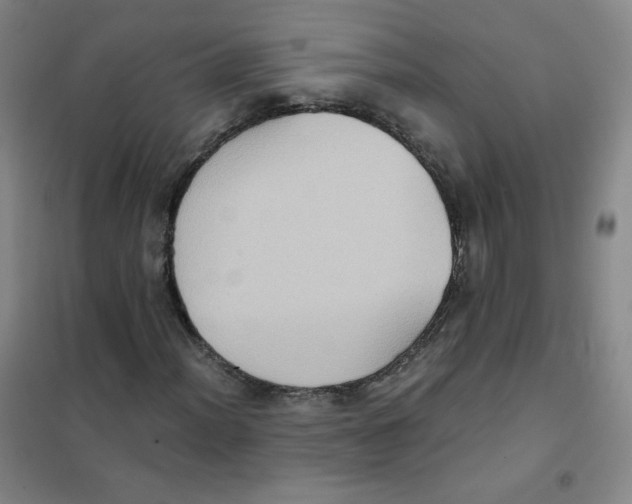 X0000101111012200807241130