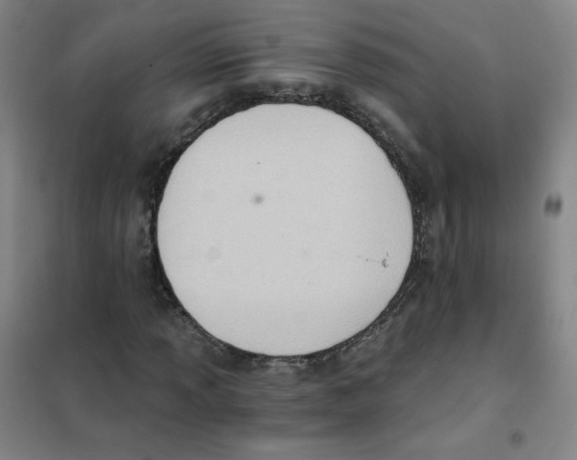X0000101111013200807241130