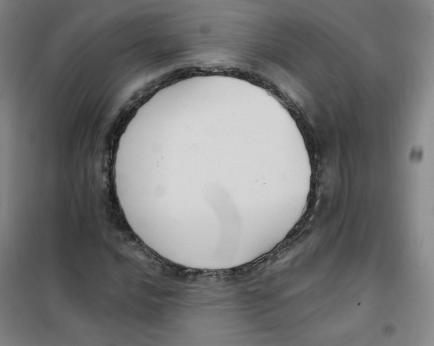 X0000101111016200807241130