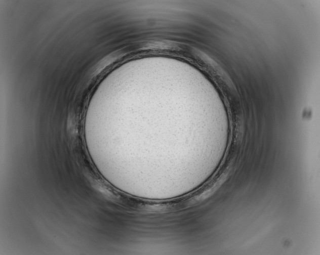 X0000101111017200807241130