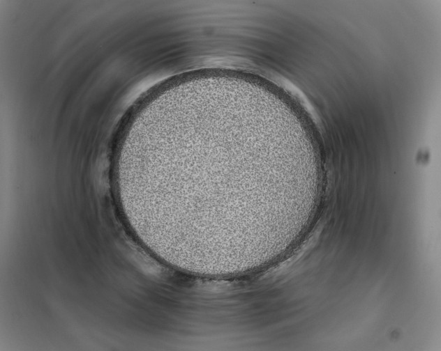 X0000101111019200807241131