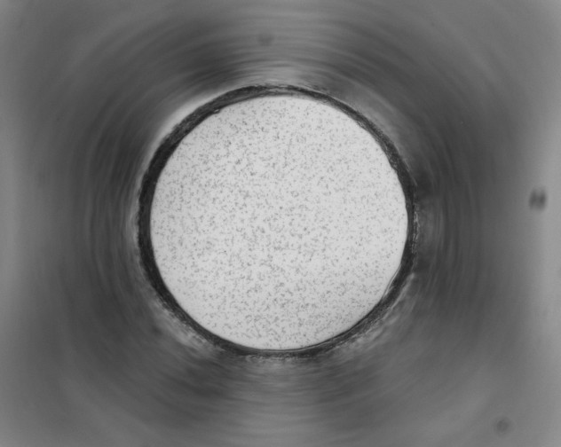 X0000101111020200807241131