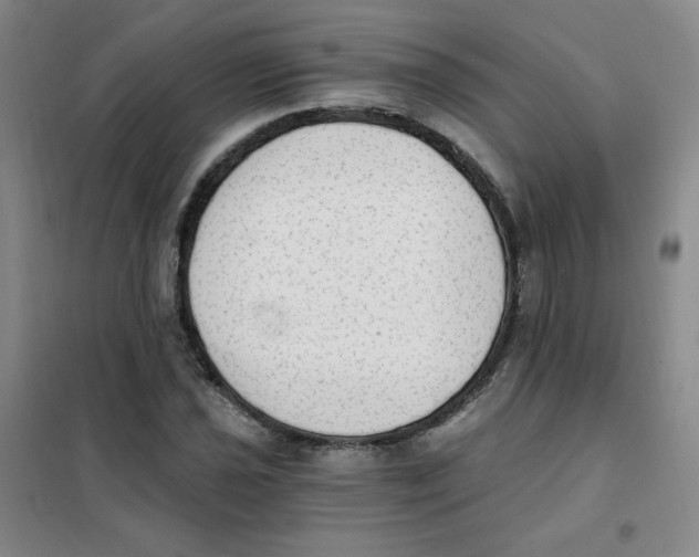 X0000101111021200807241131