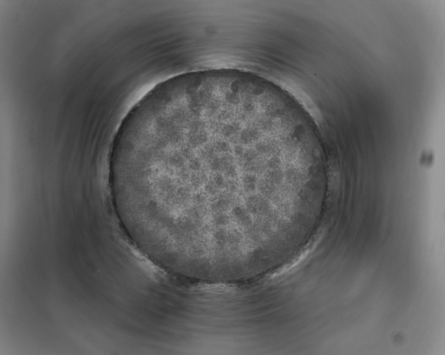 X0000101111023200807241131