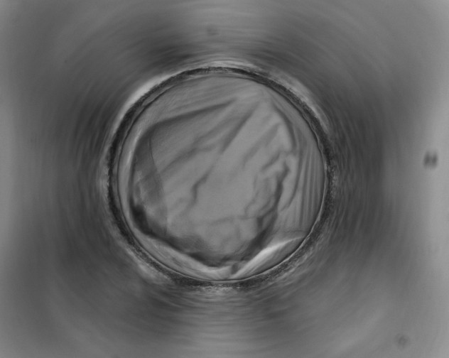 X0000101111024200807241131