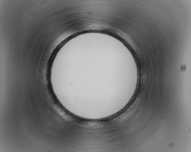 X0000101111026200807241131