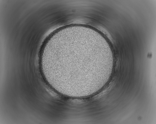 X0000101111027200807241131