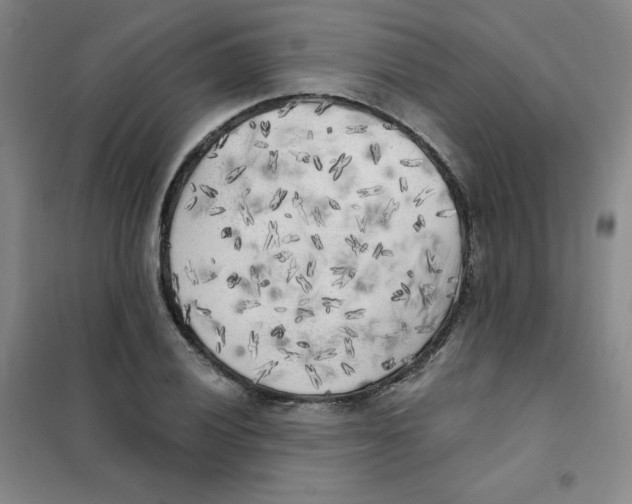 X0000101111028200807241131