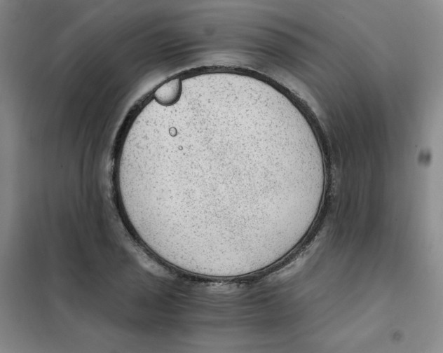 X0000101111029200807241131