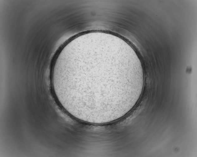 X0000101111030200807241131