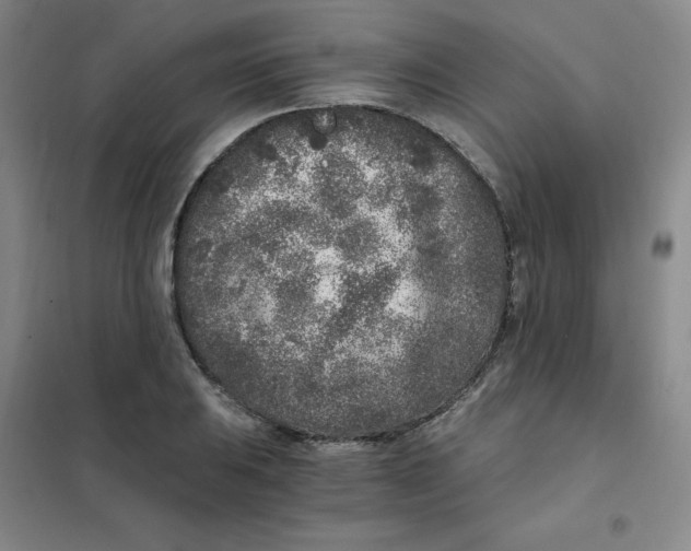 X0000101111031200807241131