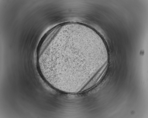 X0000101111032200807241131