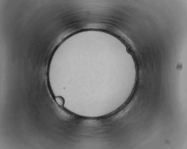 X0000101111033200807241131
