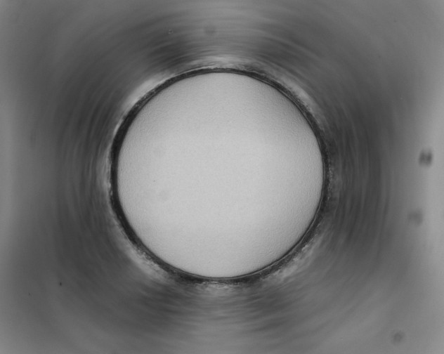 X0000101111034200807241131