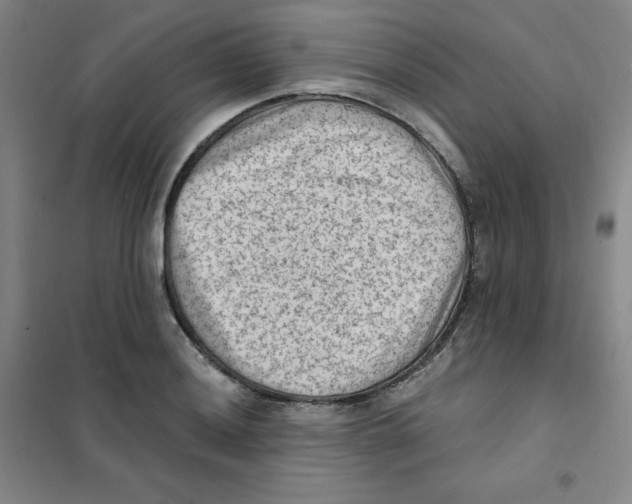X0000101111036200807241131
