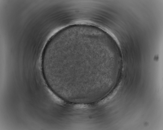 X0000101111037200807241131