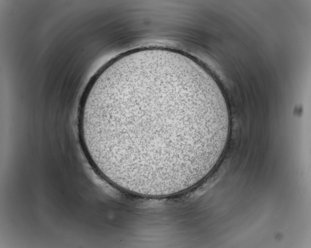 X0000101111038200807241131
