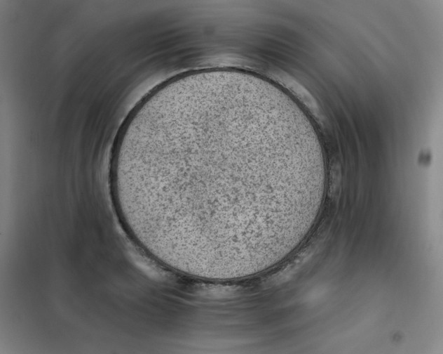 X0000101111039200807241131