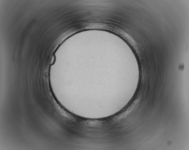 X0000101111041200807241131