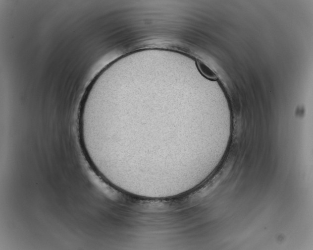 X0000101111042200807241131