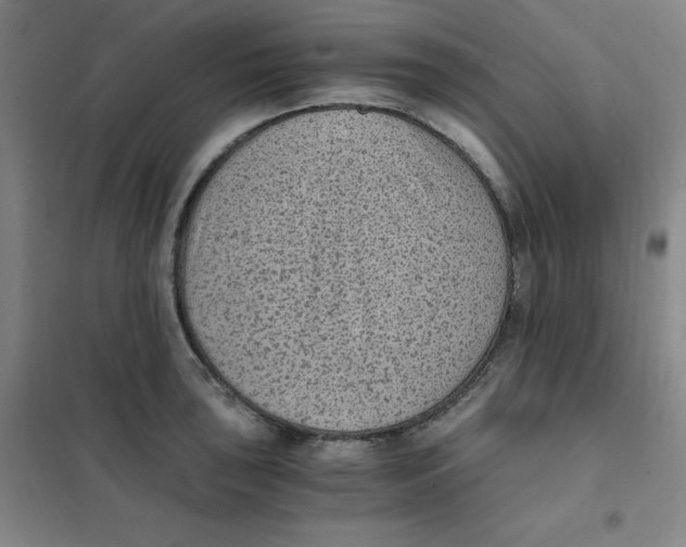X0000101111043200807241131