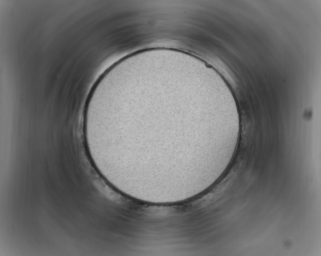 X0000101111044200807241131