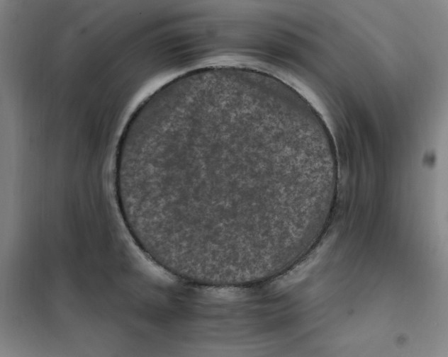 X0000101111045200807241131
