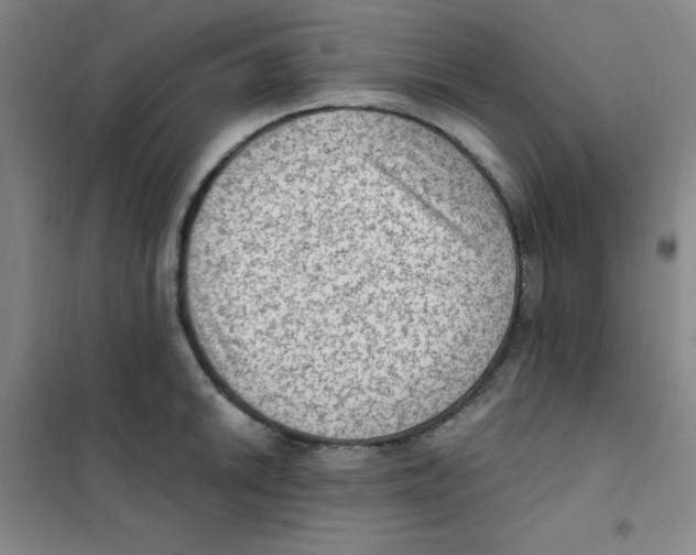 X0000101111046200807241131