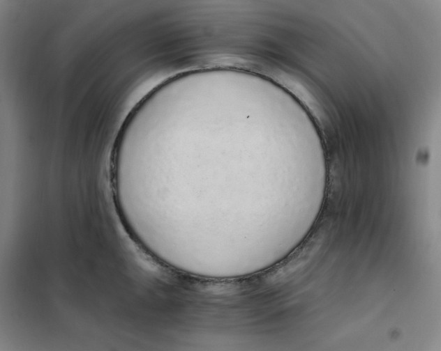X0000101111047200807241131