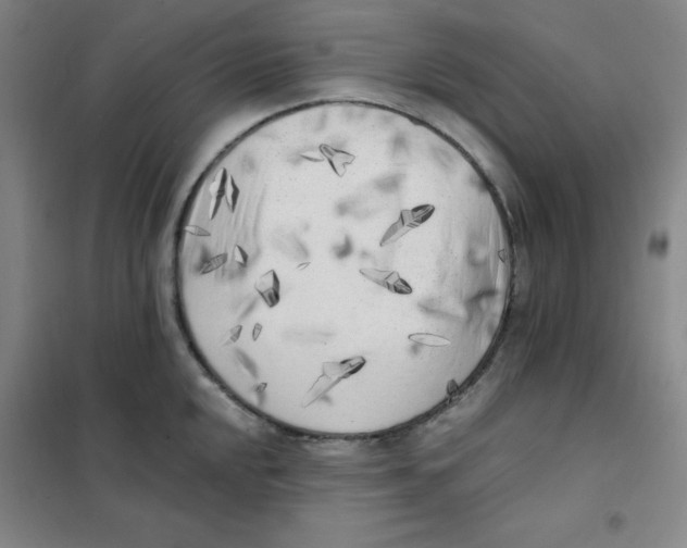 X0000101111048200807241131