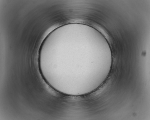X0000101111050200807241131