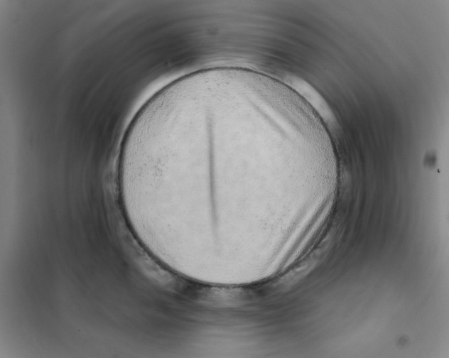 X0000101111052200807241131