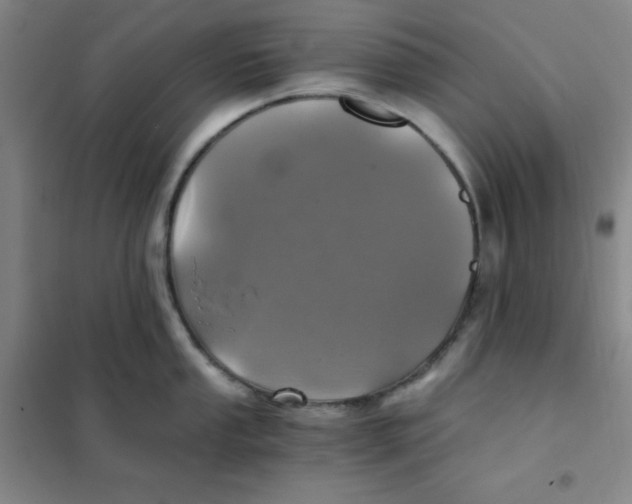 X0000101111053200807241131