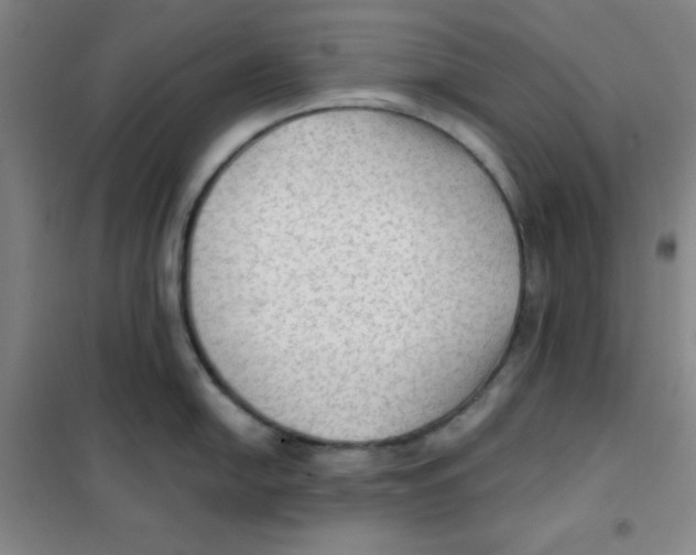X0000101111054200807241131