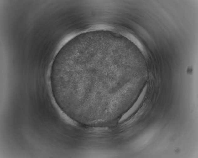 X0000101111055200807241131