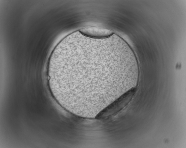 X0000101111056200807241131