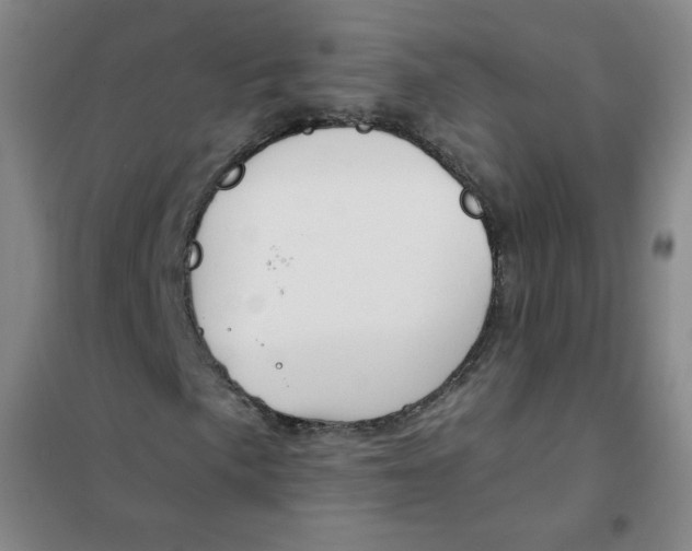 X0000101111057200807241130
