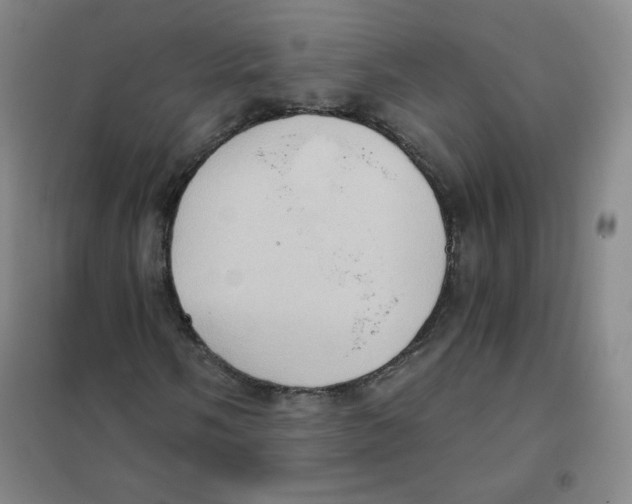 X0000101111058200807241130
