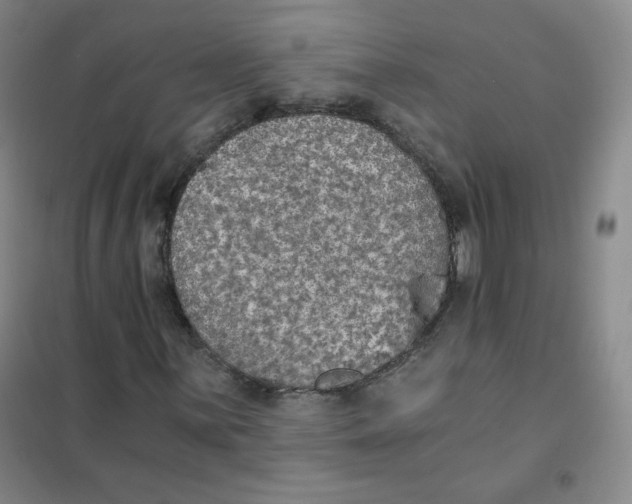 X0000101111059200807241130