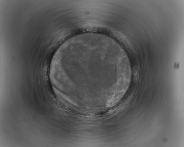X0000101111060200807241130