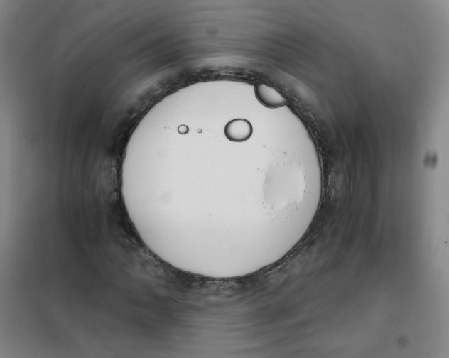X0000101111062200807241130