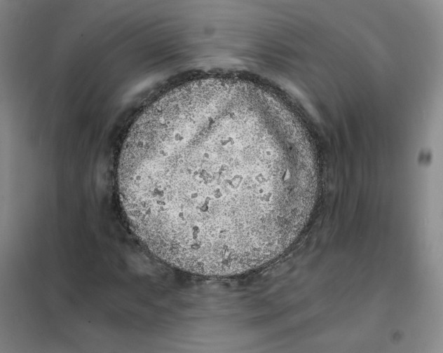 X0000101111063200807241130