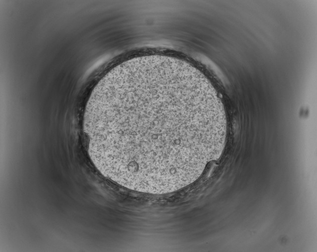 X0000101111064200807241130